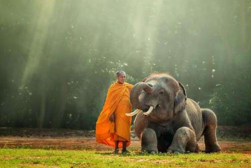 Viajes organizados a Tailandia - Monje Budistas