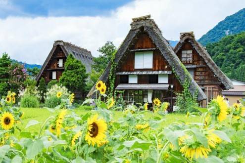 Que ver en Japón - Visitar Shirakawago