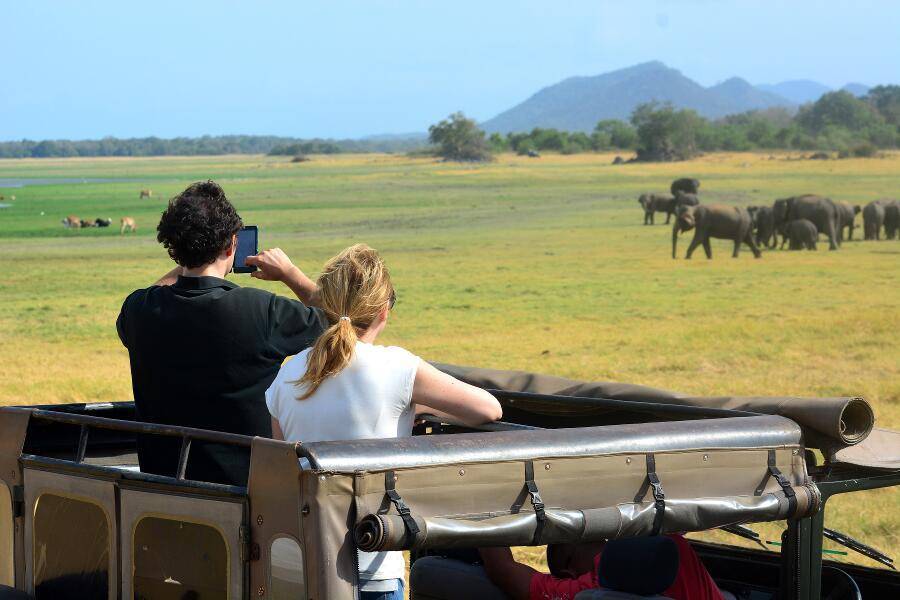 Viajes a Sri Lanka - Que ver en Sri Lanka - Minneriya Parque elefantes