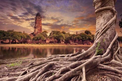 Que ver en Tailandia - Ayutthaya Centro arqueológico