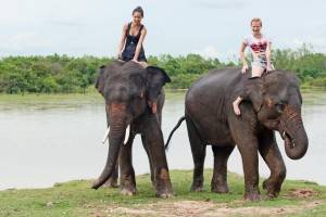 Tailandia de Norte a Sur - Safari en elefantes