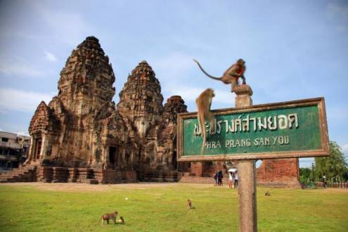 Que ver en Tailandia - Templo de los monos