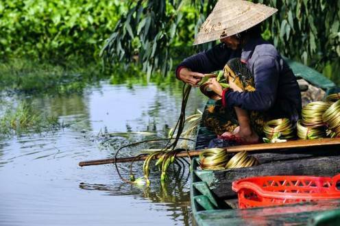 Que ver en Sri Lanka - Delta Mekong