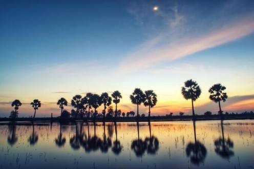 Viajes a vietnam - Delta del Mekong atardecer