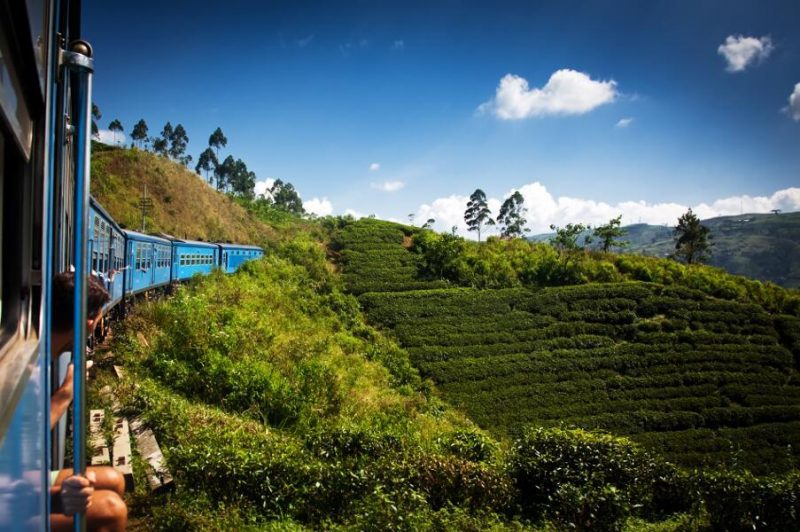 Viajes Sri Lanka - Nuwara Eliya - Tren Panoramico