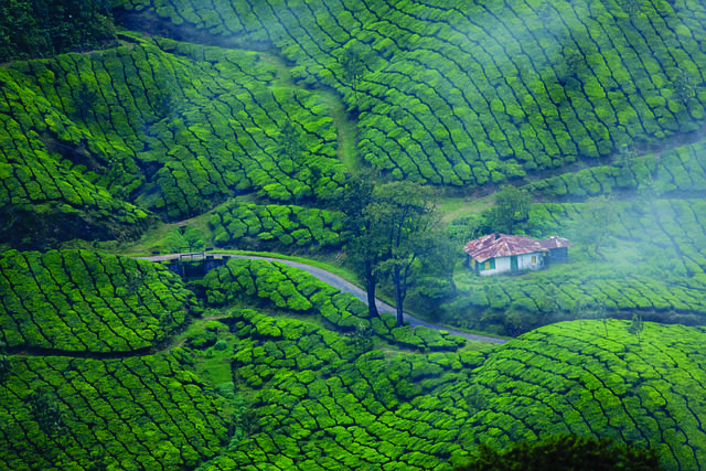 Sur de la India: Tamil Nadu y Kerala