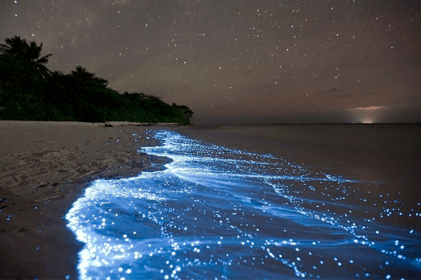playa iluminada maldivas