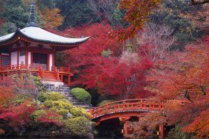 Viaja al Japón tradicional con Sildavia