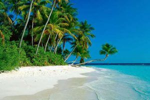Lo mejor de Sri Lanka con playas del este
