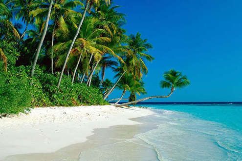 Lo mejor de Sri Lanka con playas del este