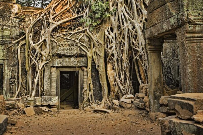 Templo Angkor Camboya