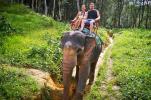 Viajes a Tailandia - Chiang Mai - Safari en elefante