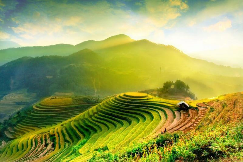 viajes-Vietnam-Halong-campo arroz_800x600