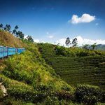Tren panoramico Sri Lanka