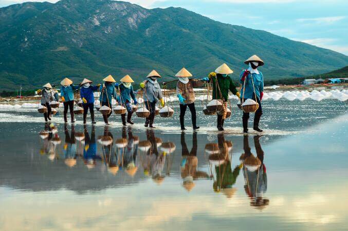 Vietnam Vida y Cultura