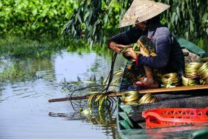Viajes a Vietnam Delta del Mekong