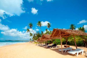 Lo mejor de Sri Lanka y playas del Sur