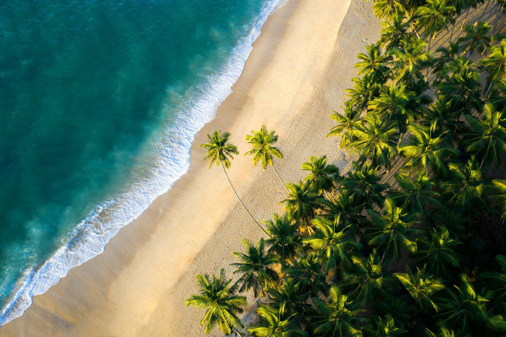 Sri Lanka y Maldivas en Invierno