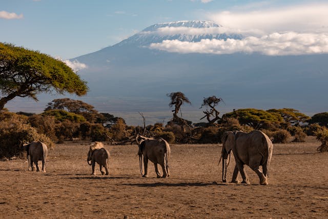 Tanzania y Zanzíbar