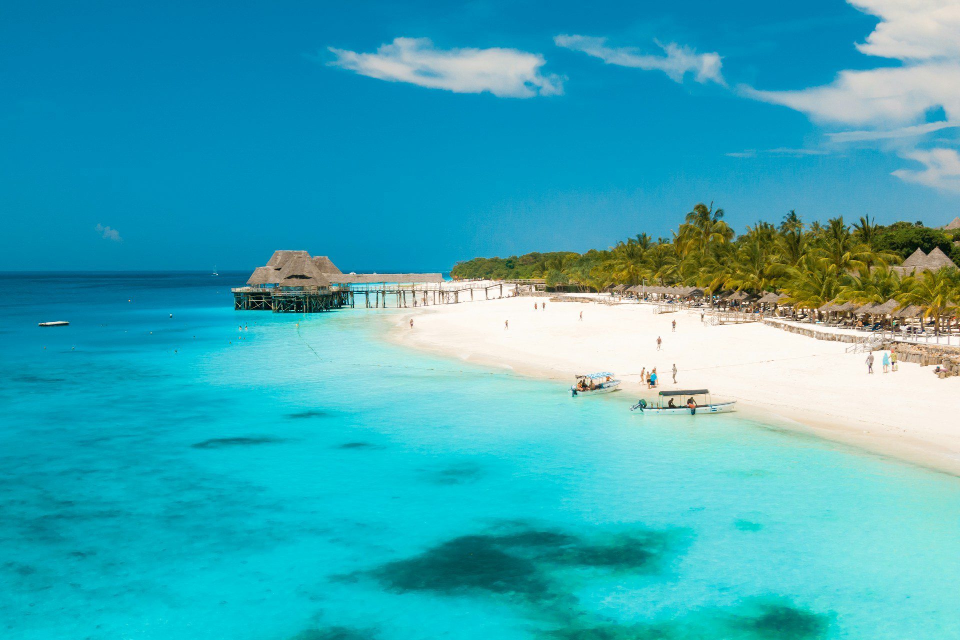 ESENCIA DE KENIA Y ZANZIBAR