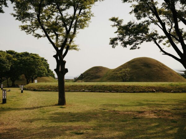 darwin-vegher-sEwEffWZnBQ-unsplash