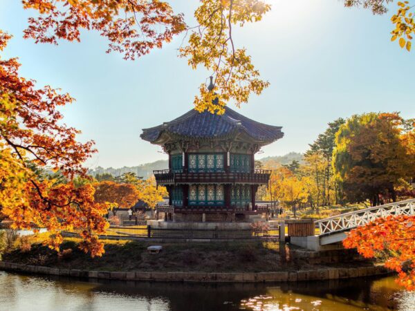 inhyeok-park-VQ9-9sqfTIc-unsplash